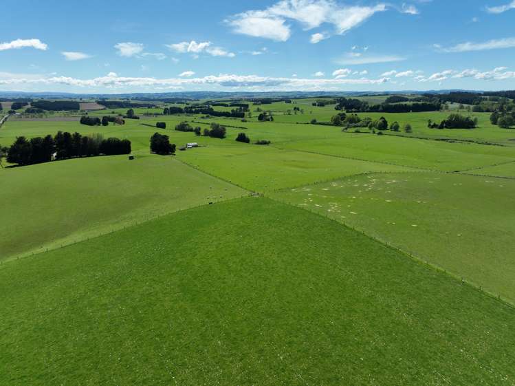 199 Moa Hill Road Clinton and Surrounds_25