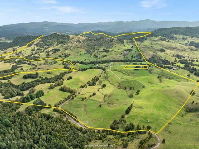 Omahuta Dairy & Beef Farm - Vendor is retiring!