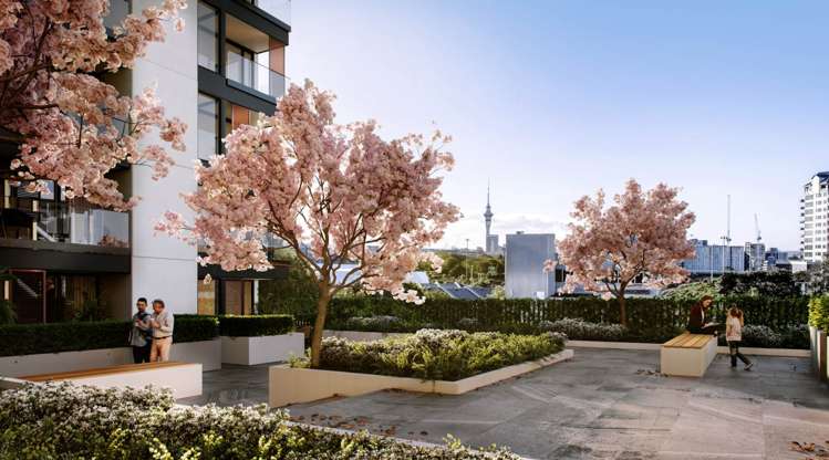 318/9 Madeira Lane Grafton_6