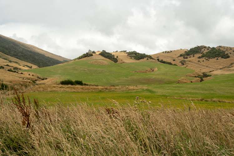 1320 Hunt Road Catlins Surrounds_11