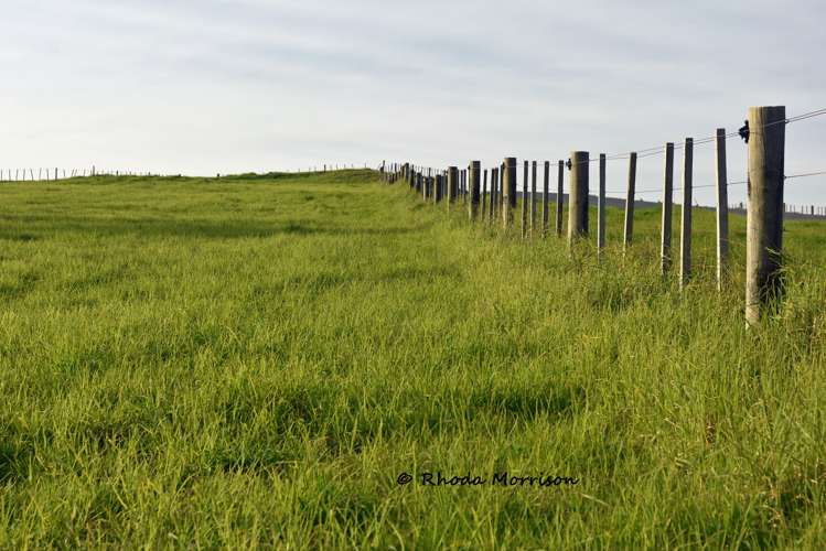 100 Te Wairoa Lane Matakohe_33