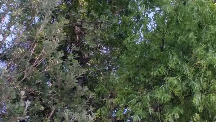 3554 Waiapu Road Tokomaru Bay_25