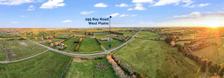295 Bay Road West Plains_33