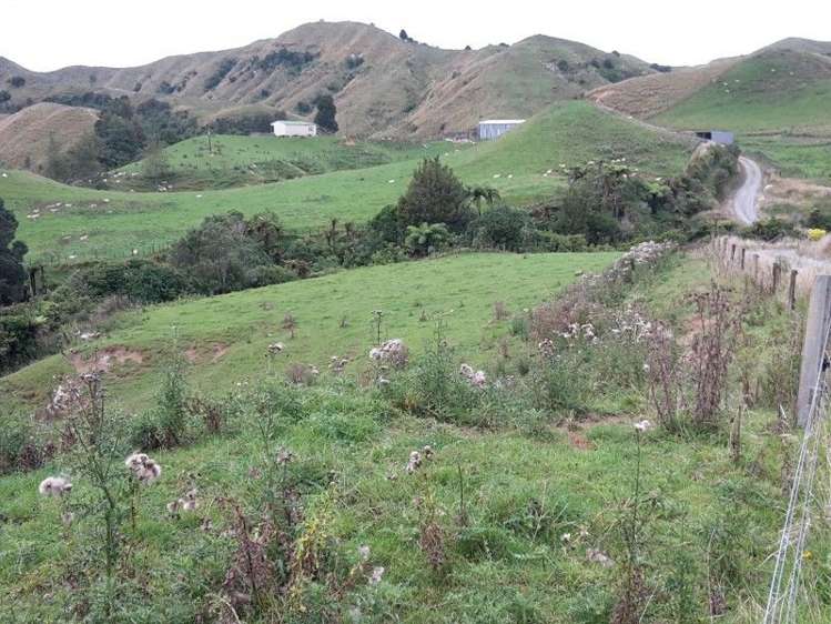 446 Stanley Road Te Popo_6