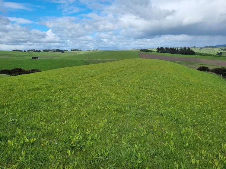 1628 Tuapeka West Road and 275 Bush Road Tuapeka West_6