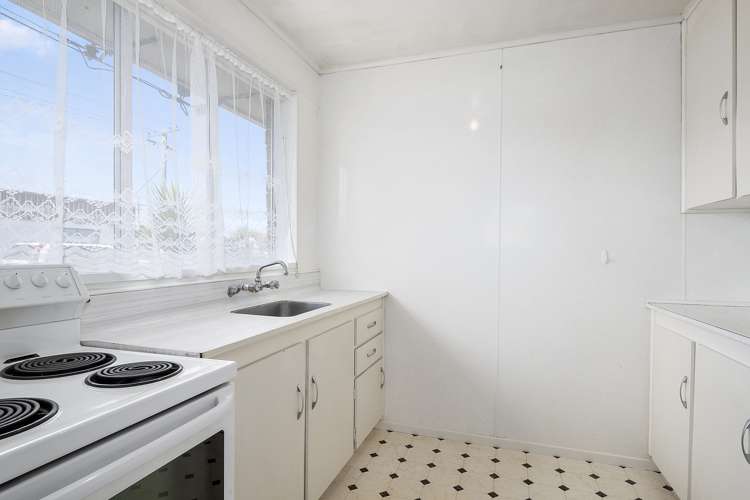 17 Fingall Street South Dunedin_1