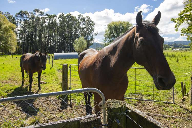 140 Hansen Road Makauri_27