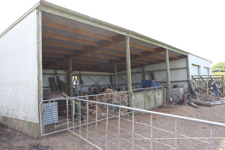 346 Lincoln Road Inglewood_13