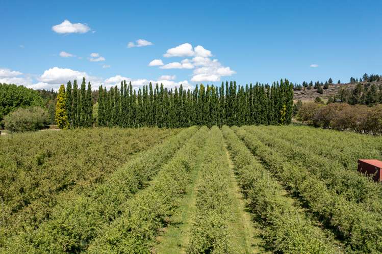 27 Conroys Road Alexandra_5