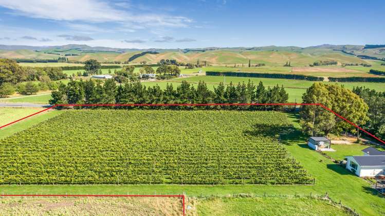 1114 Omihi Road Omihi_36