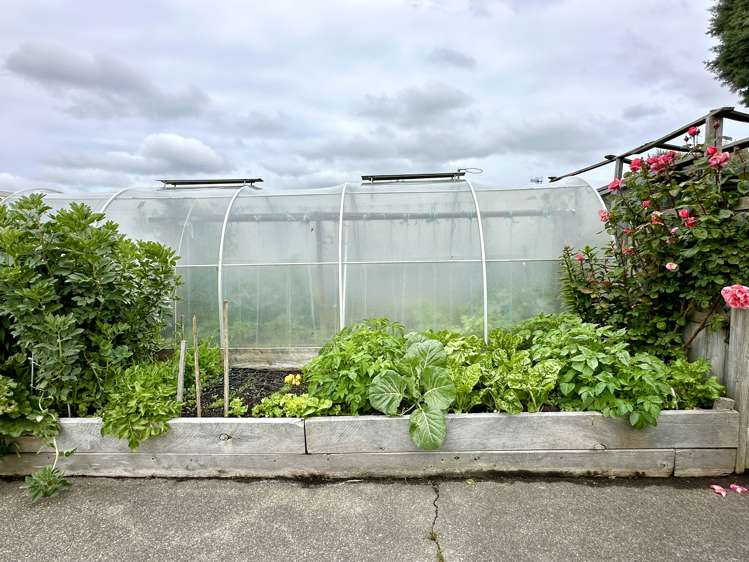 46 Cunningham Street Grasmere_24