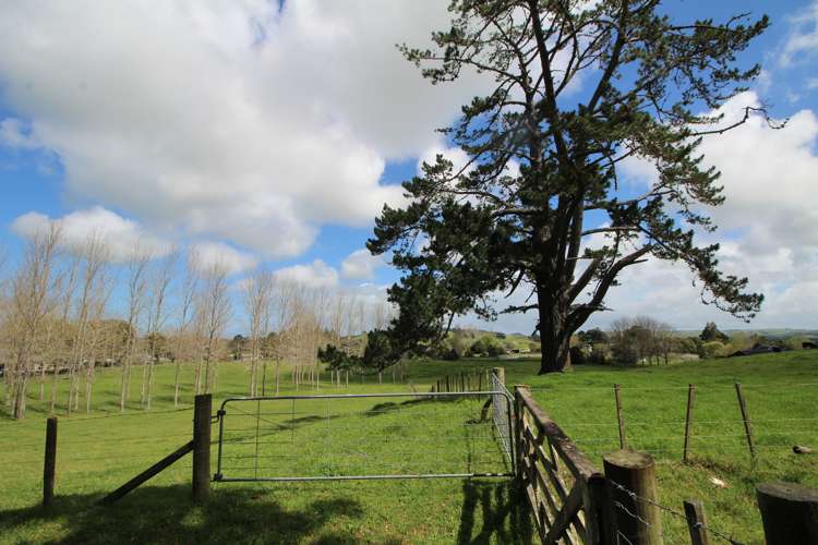 133 Colville Road Dargaville_14