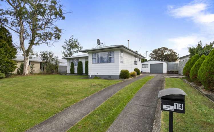 14 Dampier Avenue Awapuni_4