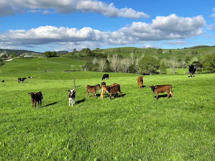 4127 Kaipara Coast Highway Wellsford_14