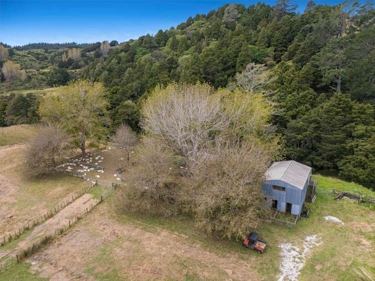 334A Komokoriki Hill Road Makarau_14