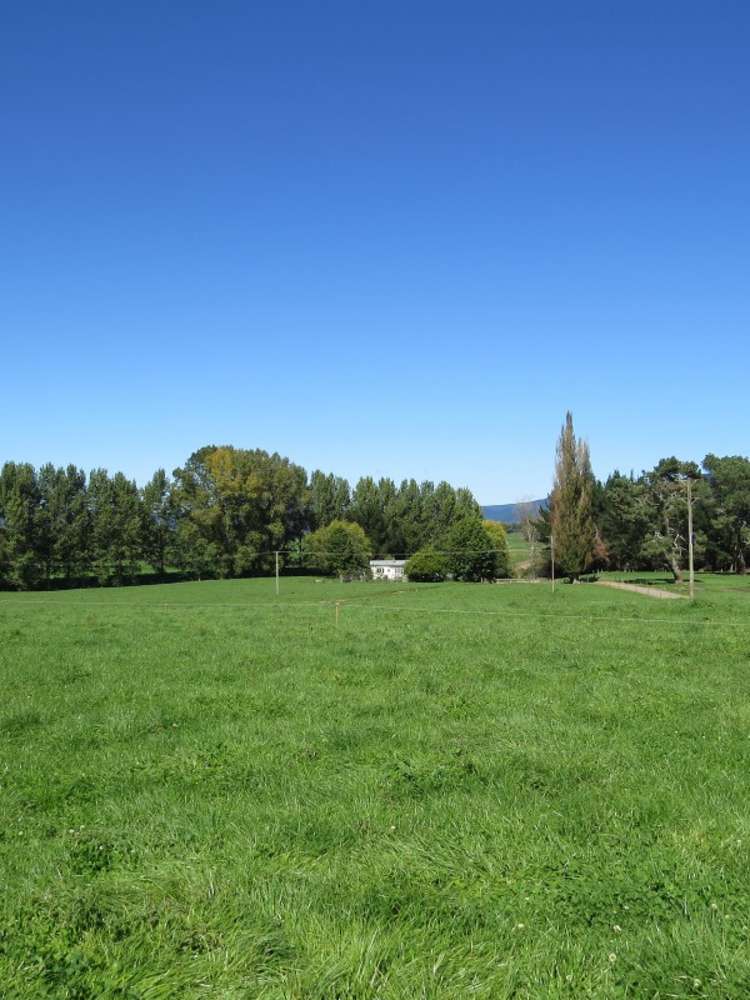 6261 State Highway 1 Kinleith_17