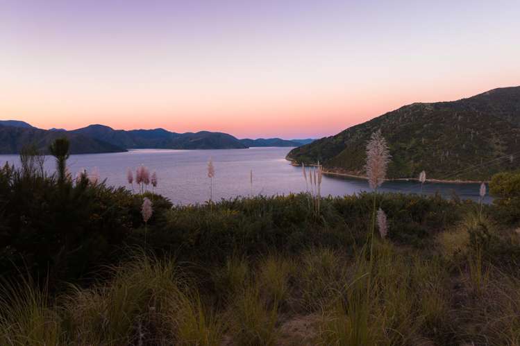 318 Port Underwood Road Waikawa_28