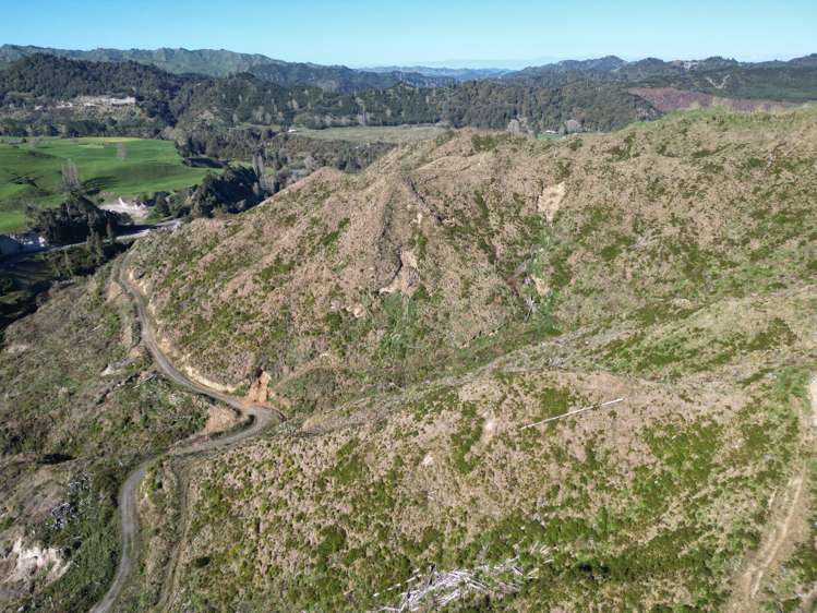 Cnr Whanganui River Road and Otunui South Road Taumarunui_15