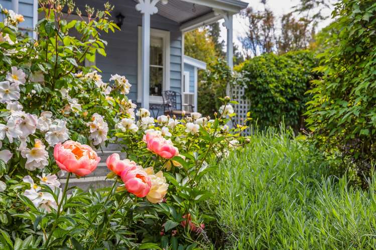 211 Summerhill Road Cust_29