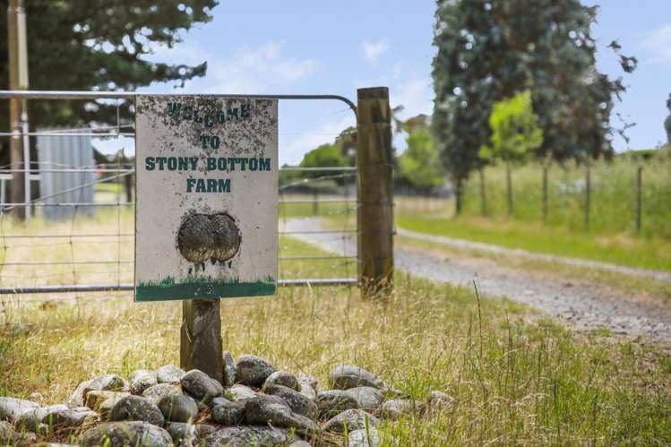 1944 State Highway 63 Wairau Valley_35