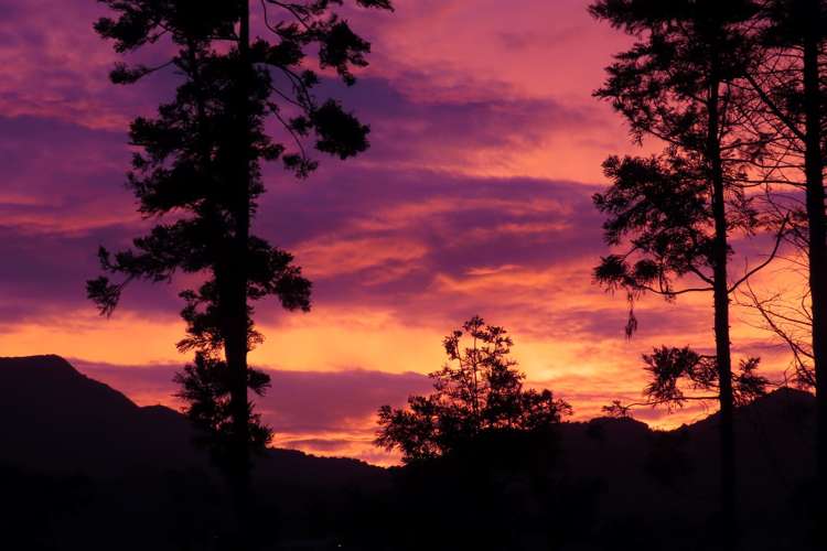 520 Wright Road Aongatete_16