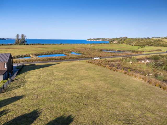 Premium Weiti Bay Section – 1,638m² of Coastal Beauty