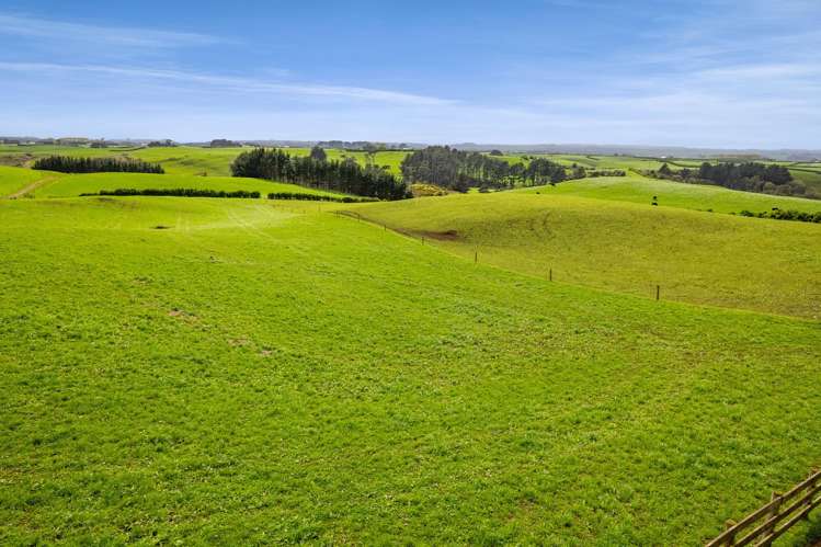 2A Ropata Street Hawera_21