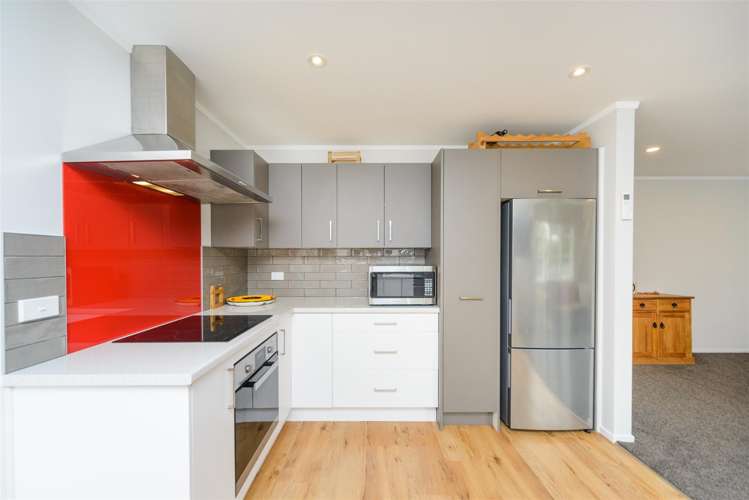 9 Bull Street Bulls_1