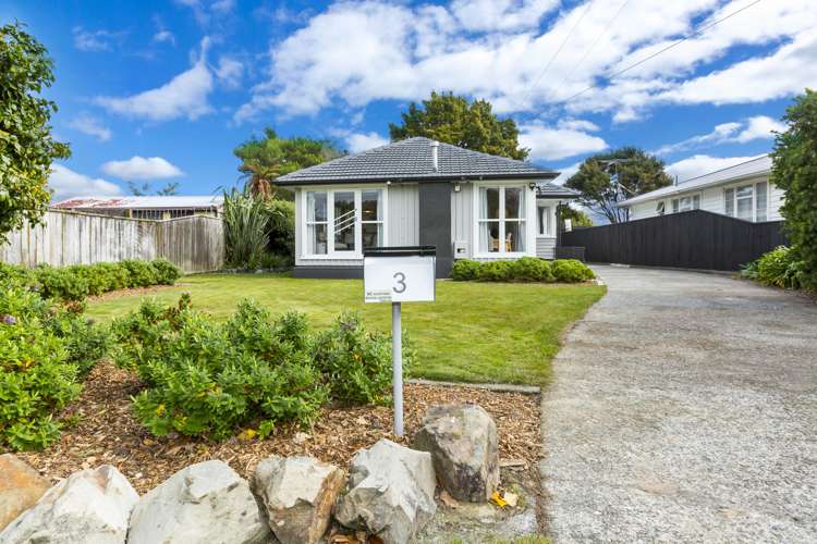 3 Kashmir Avenue Clouston Park_22