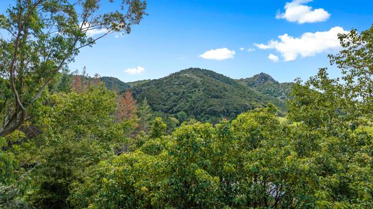 2395f State Highway 1 Brynderwyn_11