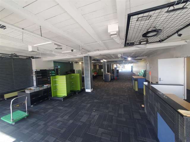 122 Riccarton Road Riccarton_4