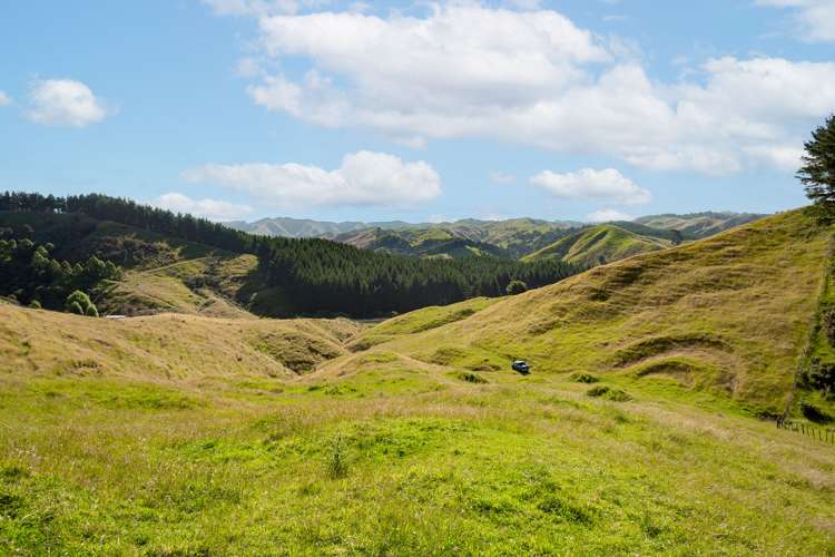 1595 Waingaro Road Glen Massey_16