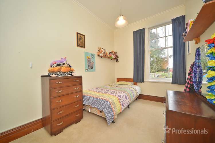 67 Costley Street Carterton_10