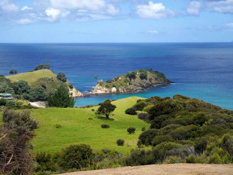 Lot 2, 346 Gray Road Great Barrier Island_5