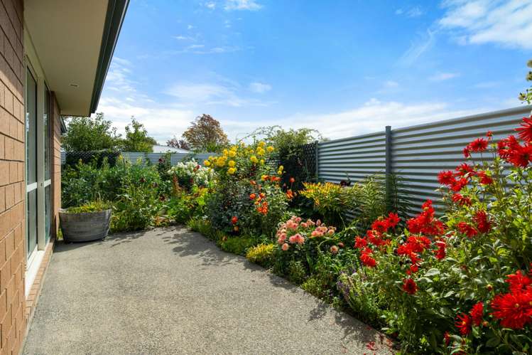 63C Nelson Street Springlands_12