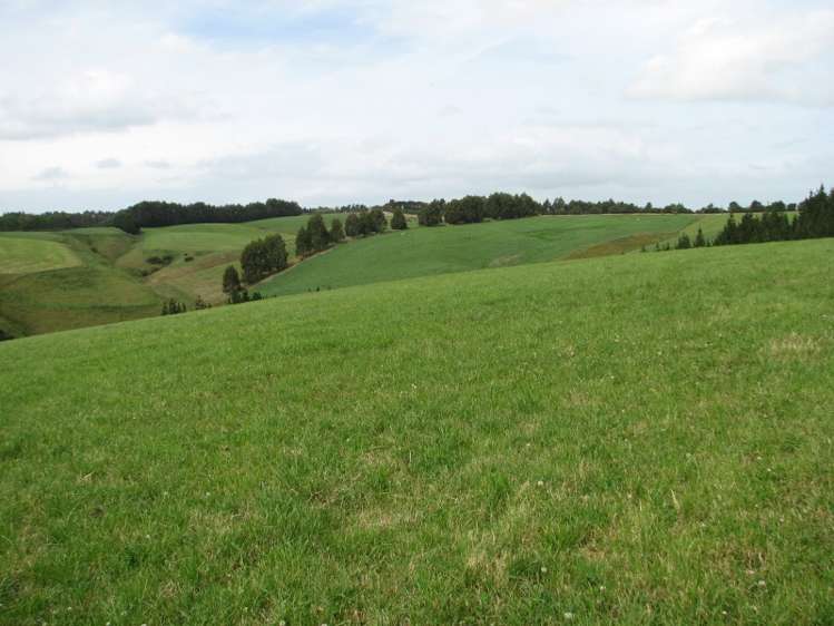 80 Blackburn Road Balclutha_8