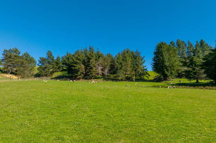 240 George Harvey Road Upper Moutere_7