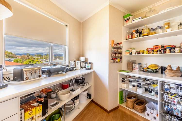 19 Lemon Street Otaki_7