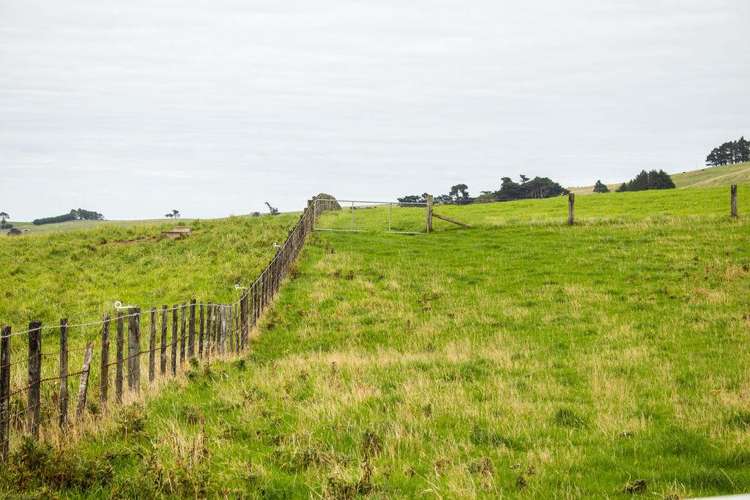 203 Paua Bay Road Akaroa_14