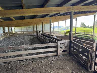 268a Tiriraukawa Road_3