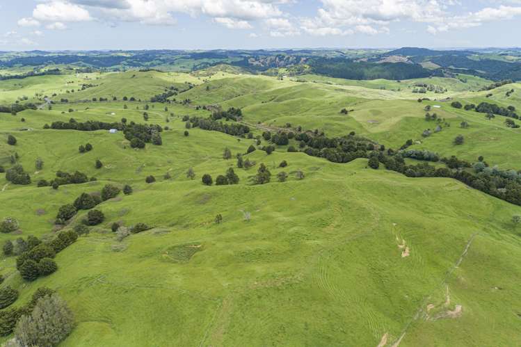 282 Taipuha Station Road Otamatea Surrounds_12