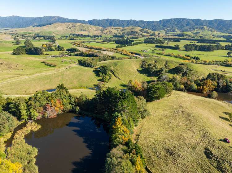 148 Mangatainoka Valley Road Eketahuna_23