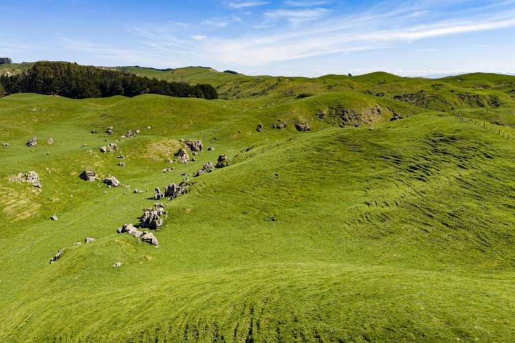 1262 - 1520 Maraetotara Road Waimarama_9