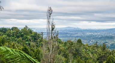 408a Scenic Drive_1