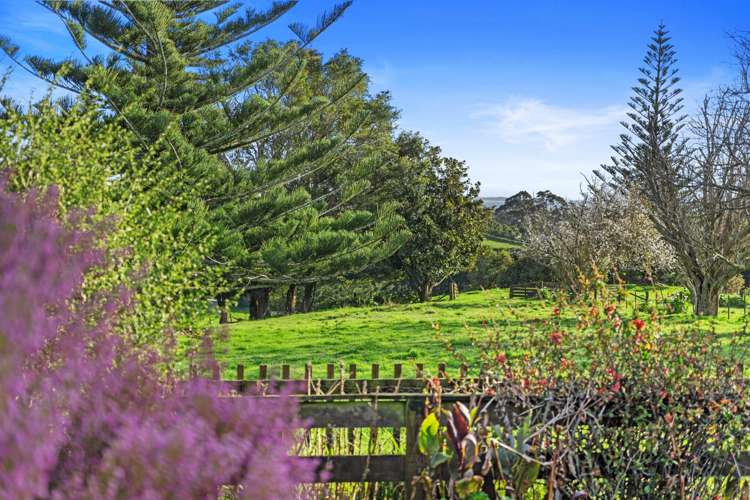 214 Wright Road Aongatete_2