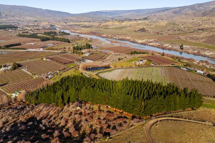 Lot 1 & 5 Ripponvale Road_2