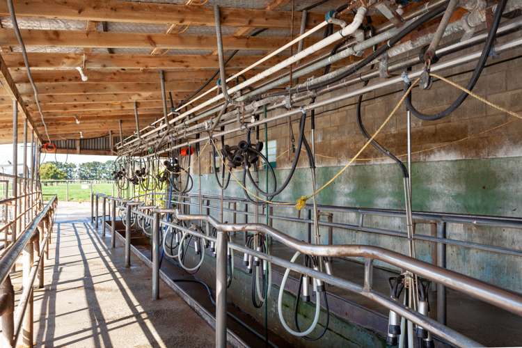 382 Tautiti Road Te Aroha_6