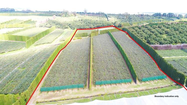 168 Ongare Point Road Hauraki Surrounds_1