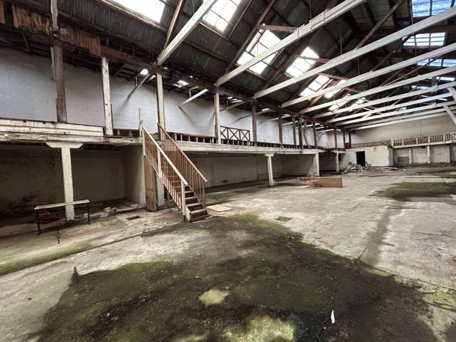 61 Maclaggan Street Dunedin Central_1