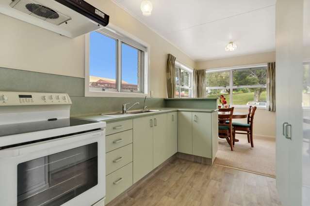 245 Brady Street Te Awamutu_2